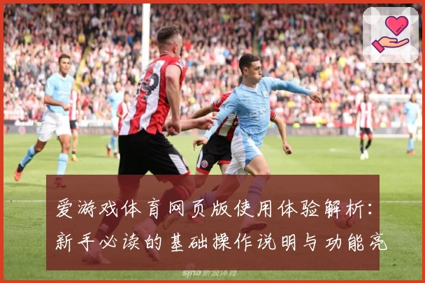 爱游戏体育网页版使用体验解析：新手必读的基础操作说明与功能亮点介绍