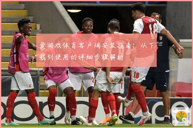 爱游戏体育客户端安装指南：从下载到使用的详细步骤解析